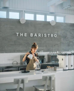 Brewista Artisan Electric Gooseneck Kettle - Pearl White -Brewroast Deals Store IMG 2932newlogo