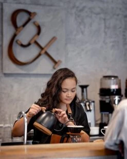 Brewista Artisan Electric Gooseneck Kettle - Matte Black -Brewroast Deals Store IMG 3942 newlogo